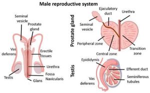 10 Nama Paling Panas Jelang Malam Induksi: Pengaruh Lintas Generasi yang Gak Bisa Dipungkiri